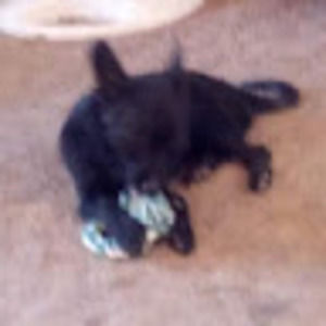 Meet your Posher, Sherye